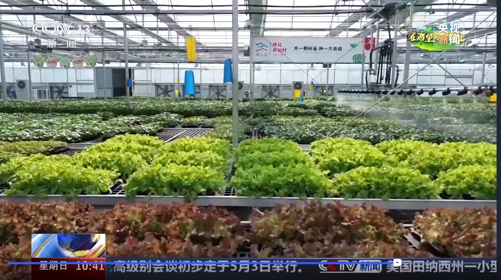 数字种苗工厂.jpg