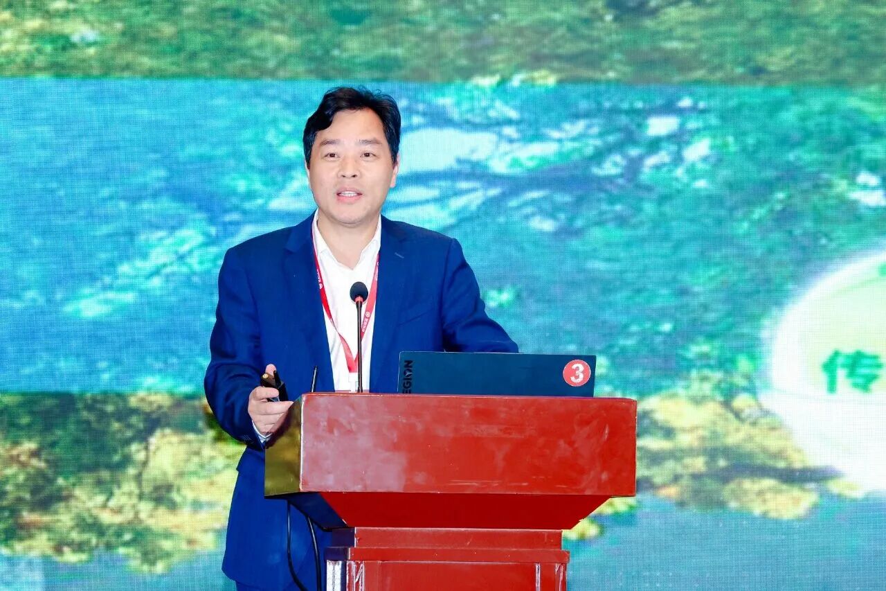 17621314446436610OZL.jpg 3.jpg